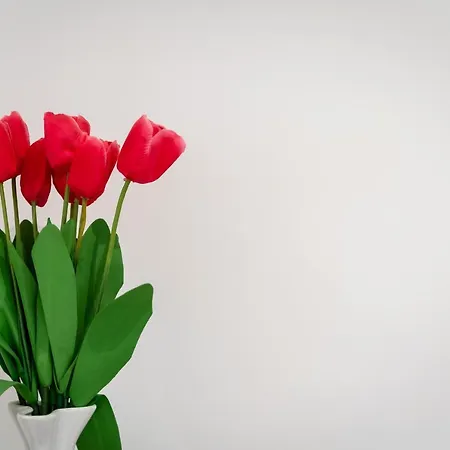 Apartamento Studio La Luna *